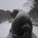제주불교성지 순례길 절로 가는길 - 인욕의 길 이미지