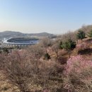 원미장 이미지