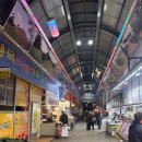 양포문어 이미지