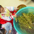 오색어린이집 이미지