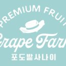 면목과일 이미지