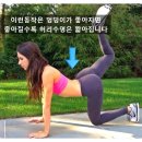 덩키 이미지