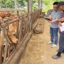 일선축산 이미지