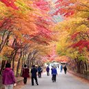 가을여행 이미지