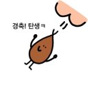 브랜딩파트너스 | 자칭 최고수준 SNS/인스타 온라인 강의들, 퍼스널 브랜딩 무료 강의 솔직 후기