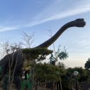 쥬라기카라반 | [강화도 여행] 강화도 / 쥬라기카라반 후기🦕