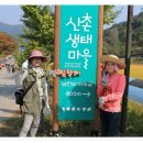 당일치기 칠갑산 알밤줍기와 무창포 대하/전어 축제 여행 이미지