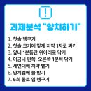 호성초등학교병설유치원 네이버블로그