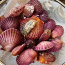 내남 용장주차장 화장실 | [공지] [겨울 감성캠핑] 감성 불멍 경주 용장글램핑 후기