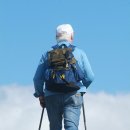 전신 걷기 운동 노르딕 워킹 이미지