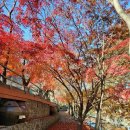 또와캠핑장 이미지