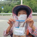 참솔농장 이미지