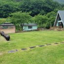 스테이 종이와 나무 이미지