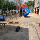 서원초등학교 이미지