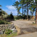 창흥동해수욕장 이미지