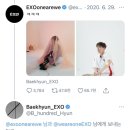 개귀여워 이미지