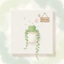 한국플랜트 | 울산 메아리학교 원예프로그램 백드롭 플랜트 출강 후기