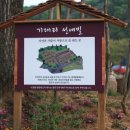 기대리선애빌 이미지