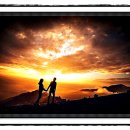 모든장식 이미지