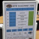 용인대 안산유도체육관 고잔점 이미지