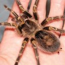 불광2-019 이미지