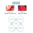 필동물병원