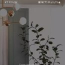 세라젬 웰카페 장유신도시점 이미지