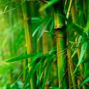 인성슈퍼 이미지