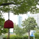 아침이슬 | [장보배의 24번의 계절] 20. 상강_한강 길을 걷다