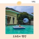 민둥산햇살좋은펜션 | 정선 감성 숙소 드위트리 강원도 민둥산 근처 펜션 수영장