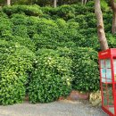 저구항민박 이미지