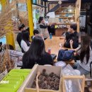 밤곶이놀자숲놀이터