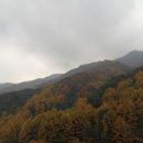삼성궁 이미지