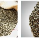 지.시온농장 이미지