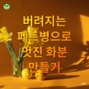 우리 집 작은 정원(홈 가드닝)만들기 | 홈 데코 DIY로 폐품 재활용하여 멋진 집 만들기