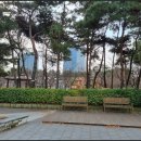 센트럴파크국제세탁소 | 송도웰카운티3단지 아파트, 햇살‧바다‧상권까지 품은 ‘완성형 라이프’ 리얼 후기