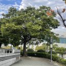 사회체육센터 이미지