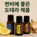 도테라