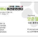 서구애견센타 이미지