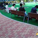 마로니에시근린공원 이미지