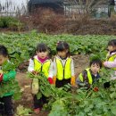 송죽농장 이미지