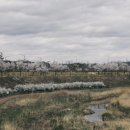 서재교차로 이미지