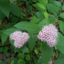 비봉내마을 이미지