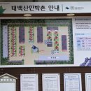 태백산한옥민박 이미지