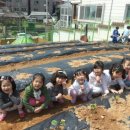 화평농장 이미지