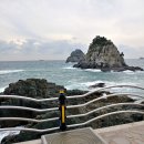 황산경계~호교2교 | 해파랑길 1코스 (부산 오륙도해맞이공원 - 부산 미포)