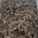 자연산약초 이미지