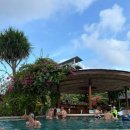 마린파크 동물병원 | 발리 3주 살이 | 발리 워터봄, 이그조틱 마린파크 (feat. 아이랑 발리 여행)