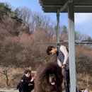 보람그루밍 이미지