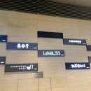 레벨(LEVEL) 이미지